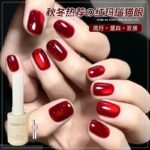 Red Agate Cat's Eye Approved New Glass Bead Wine-Red Gel Polish + magnetic (Requires UV Lamp) - Image 5