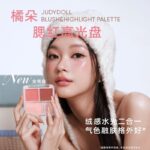 2 in 1 Blush Highlight Palette